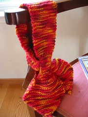 Lorna's Laces scarf