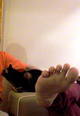 foot, cat and shadow