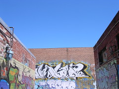 The Gratified Grafitti