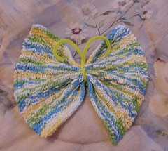 butterfly washcloth042605