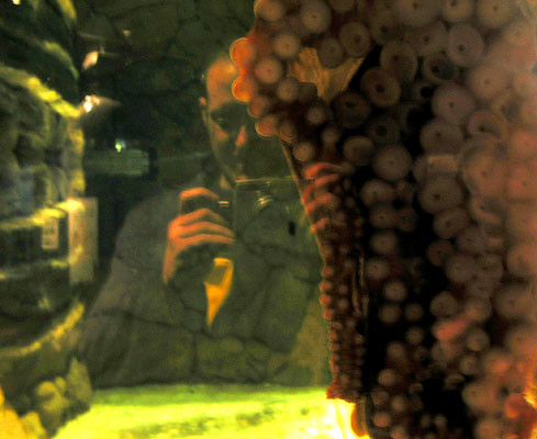 self portrait with giant octopus