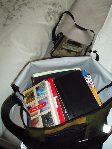 traveling with a whole lotta books