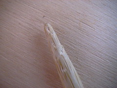 Bambupuikko