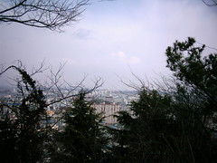Wolmyeong 021