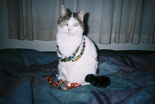 McCullough with Mardi Gras beads