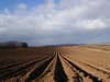 Ploughed field