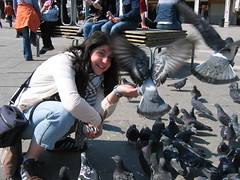 feeding pigeons