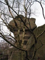 One of Brimham Rock's rocks