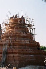 Building a new pagoda