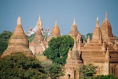Some of the 2230 historical buildings of Bagan...