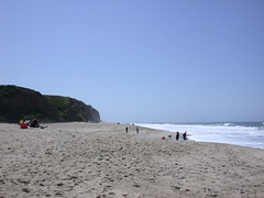 Poplar Beach