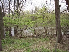 View of the Fox River from the Path